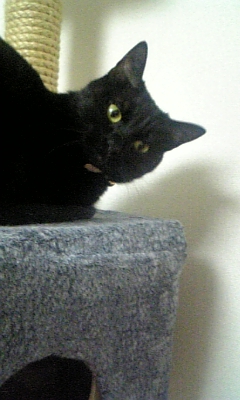 080122_000006.jpg
