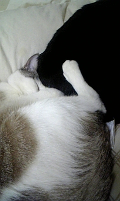 080126_011005.jpg