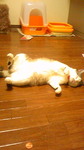 080305_021902.jpg