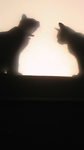 080411_160438.jpg