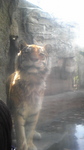 080506_140930.jpg