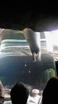080506_133439.jpg