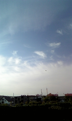 070924_154656.jpg